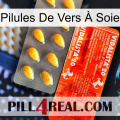 Pilules De Vers À Soie new01